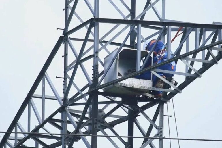 Pe stâlpii Liniei Electrice Aeriene 400 kV Vulcănești – Chișinău vor fi instalate circa 370 de cuiburi pentru păsări